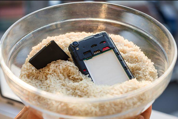 how to fix a water damaged phone